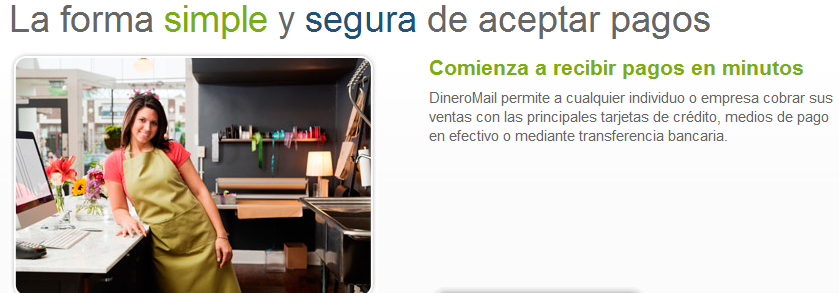Problemas con DineroMail