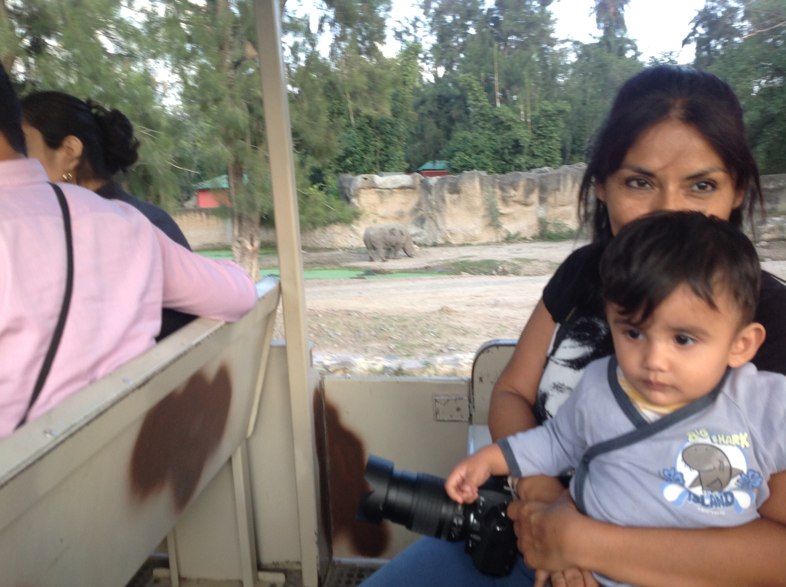 En el zoológico