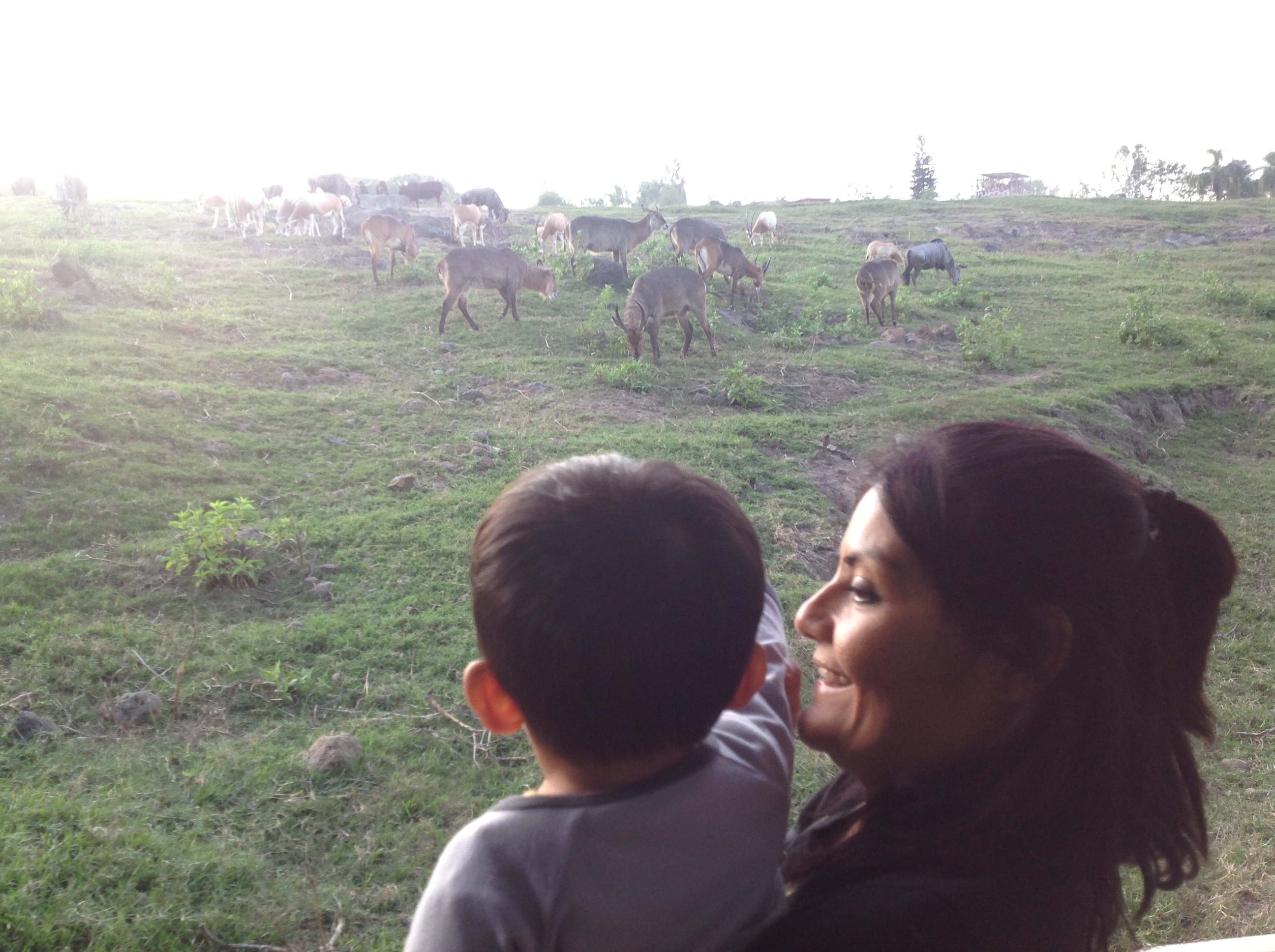 En el zoológico 2
