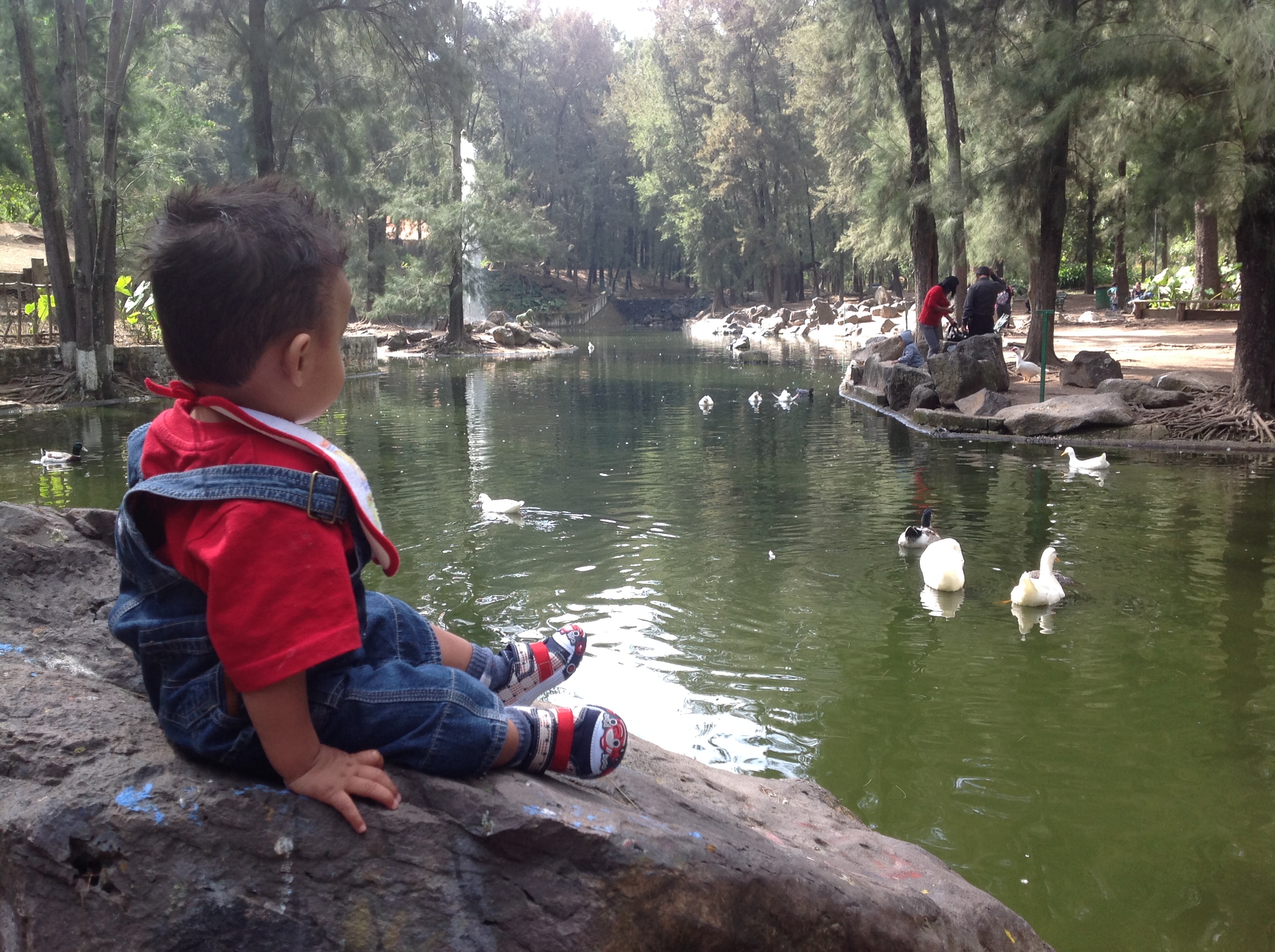 En el lago