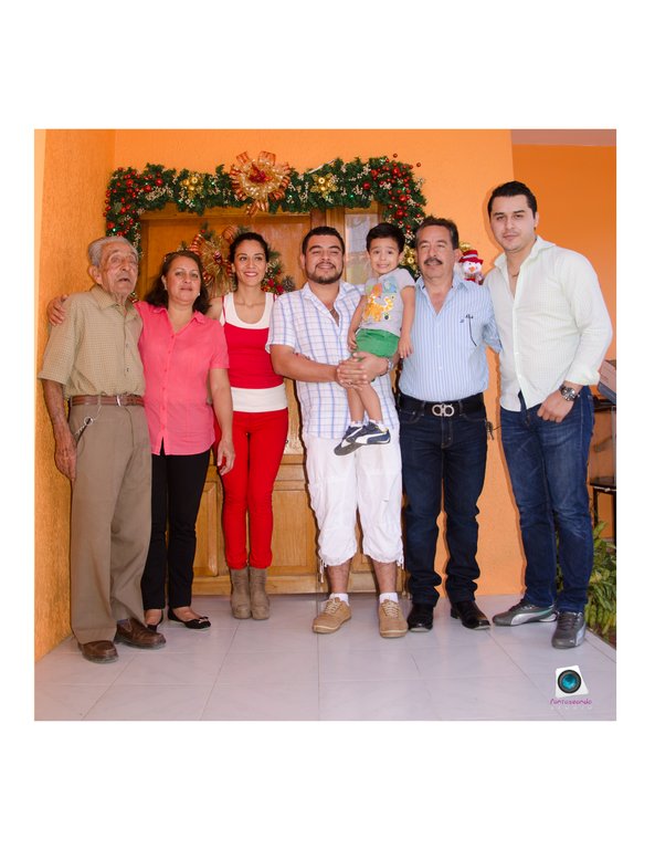 Familia Telerin